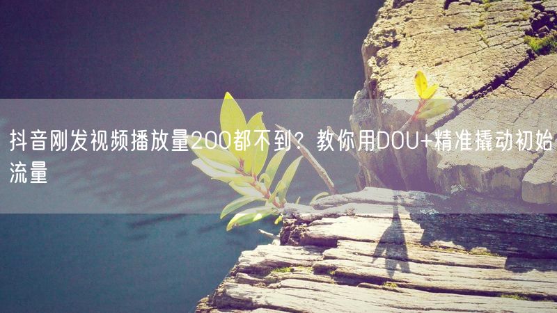 抖音刚发视频播放量200都不到？教你用DOU+精准撬动初始流