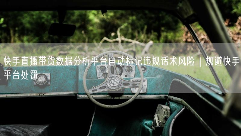快手直播带货数据分析平台自动标记违规话术风险｜规避快手平台处罚