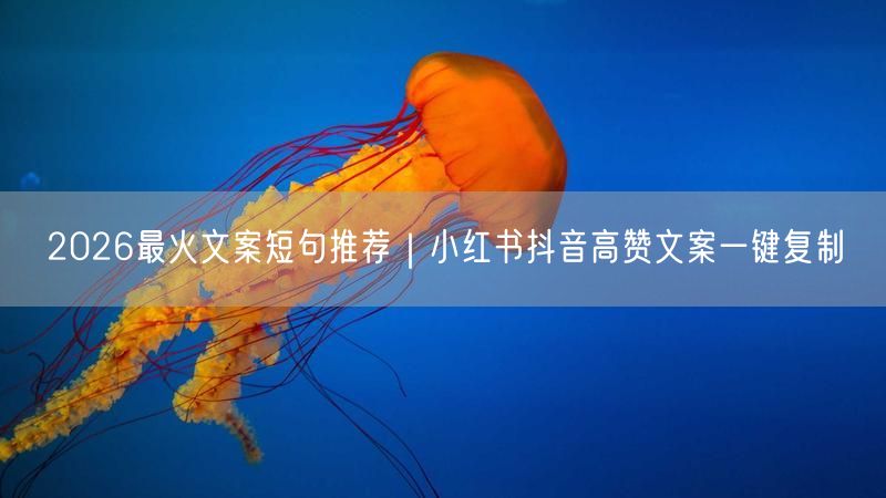 2026最火文案短句推荐｜小红书抖音高赞文案一键复制