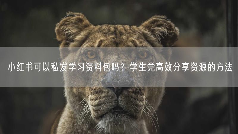 小红书可以私发学习资料包吗？学生党高效分享资源的方法