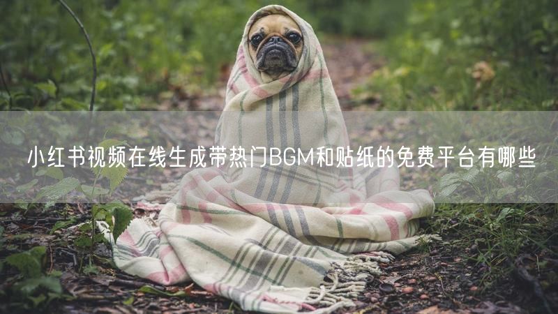 小红书视频在线生成带热门BGM和贴纸的免费平台有哪些