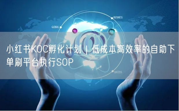小红书KOC孵化计划｜低成本高效率的自助下单刷平台执行SOP