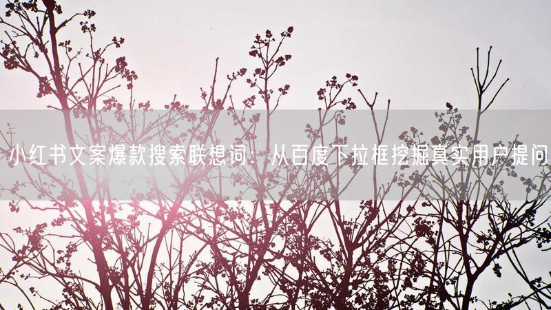 小红书文案爆款搜索联想词：从百度下拉框挖掘真实用户提问