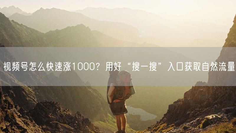 视频号怎么快速涨1000？用好“搜一搜”入口获取自然流量