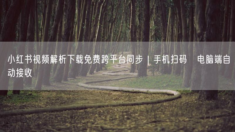 小红书视频解析下载免费跨平台同步｜手机扫码→电脑端自动接收