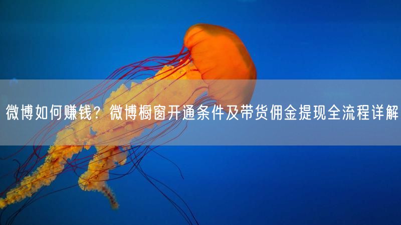 微博如何赚钱？微博橱窗开通条件及带货佣金提现全流程详解