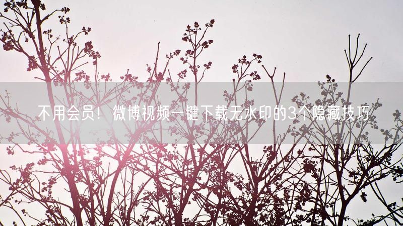 不用会员！微博视频一键下载无水印的3个隐藏技巧