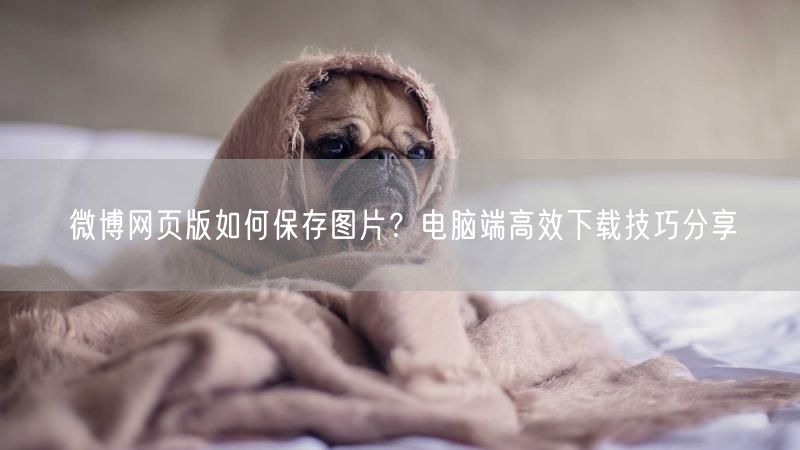 微博网页版如何保存图片？电脑端高效下载技巧分享