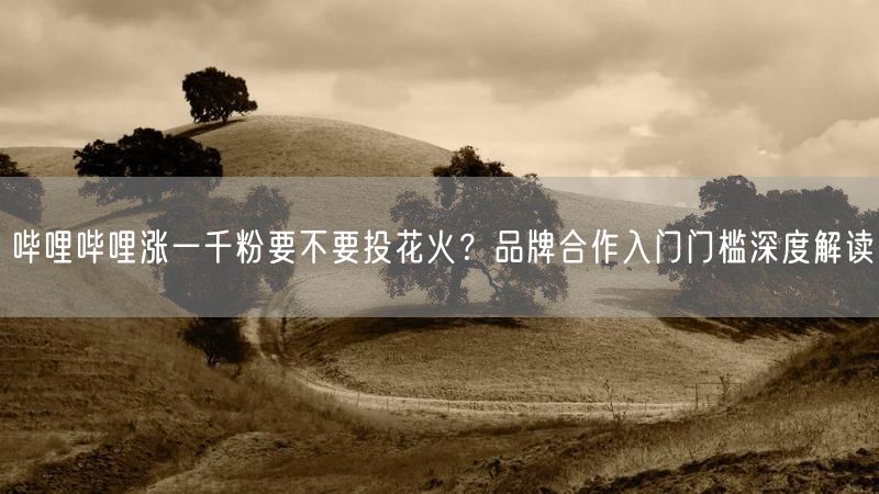 哔哩哔哩涨一千粉要不要投花火？品牌合作入门门槛深度解读