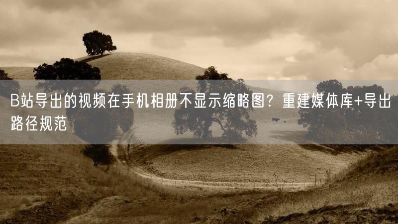 B站导出的视频在手机相册不显示缩略图？重建媒体库+导出路径规范
