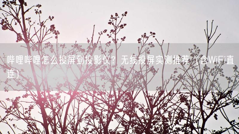 哔哩哔哩怎么投屏到投影仪？无线投屏实测推荐（含WiFi直连）