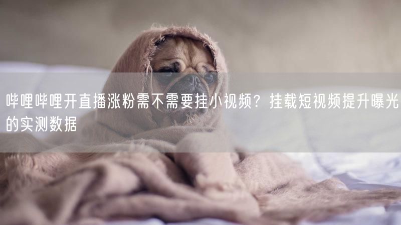 哔哩哔哩开直播涨粉需不需要挂小视频？挂载短视频提升曝光的实测