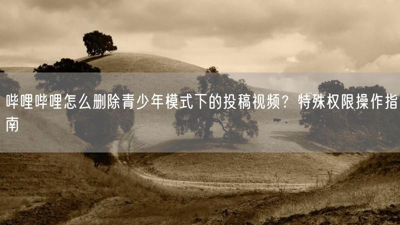 哔哩哔哩怎么删除青少年模式下的投稿视频？特殊权限操作指南