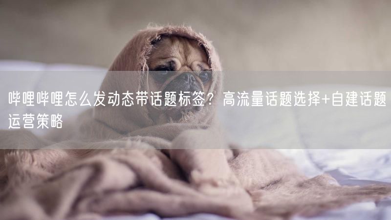 哔哩哔哩怎么发动态带话题标签？高流量话题选择+自建话题运营策