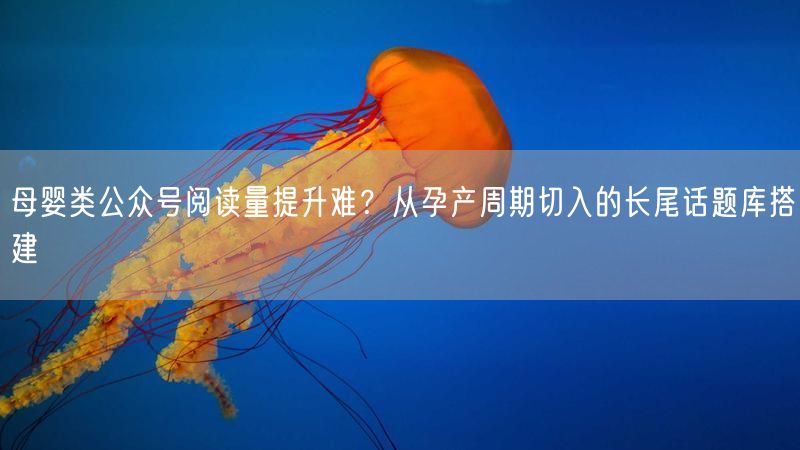 母婴类公众号阅读量提升难？从孕产周期切入的长尾话题库搭建