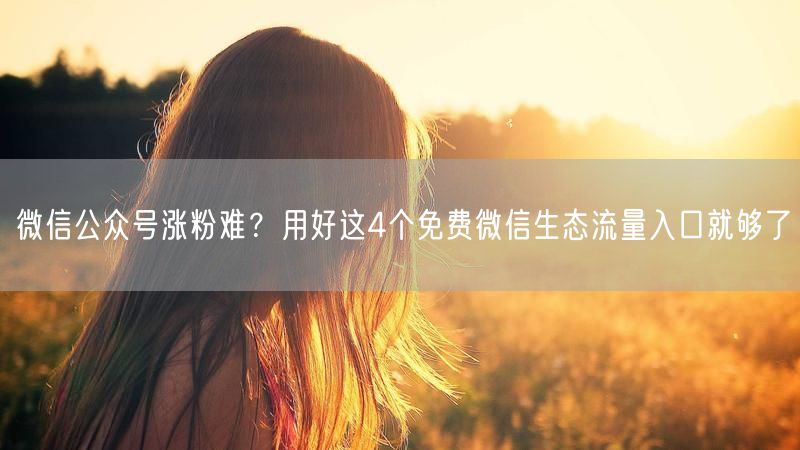 微信公众号涨粉难？用好这4个免费微信生态流量入口就够了