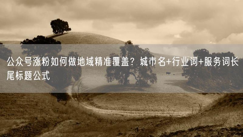 公众号涨粉如何做地域精准覆盖？城市名+行业词+服务词长尾标题