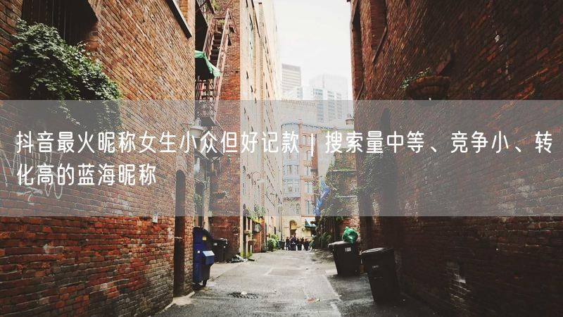 抖音最火昵称女生小众但好记款｜搜索量中等、竞争小、转化高的蓝